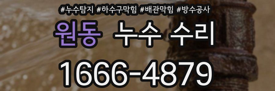 원동 누수 수리