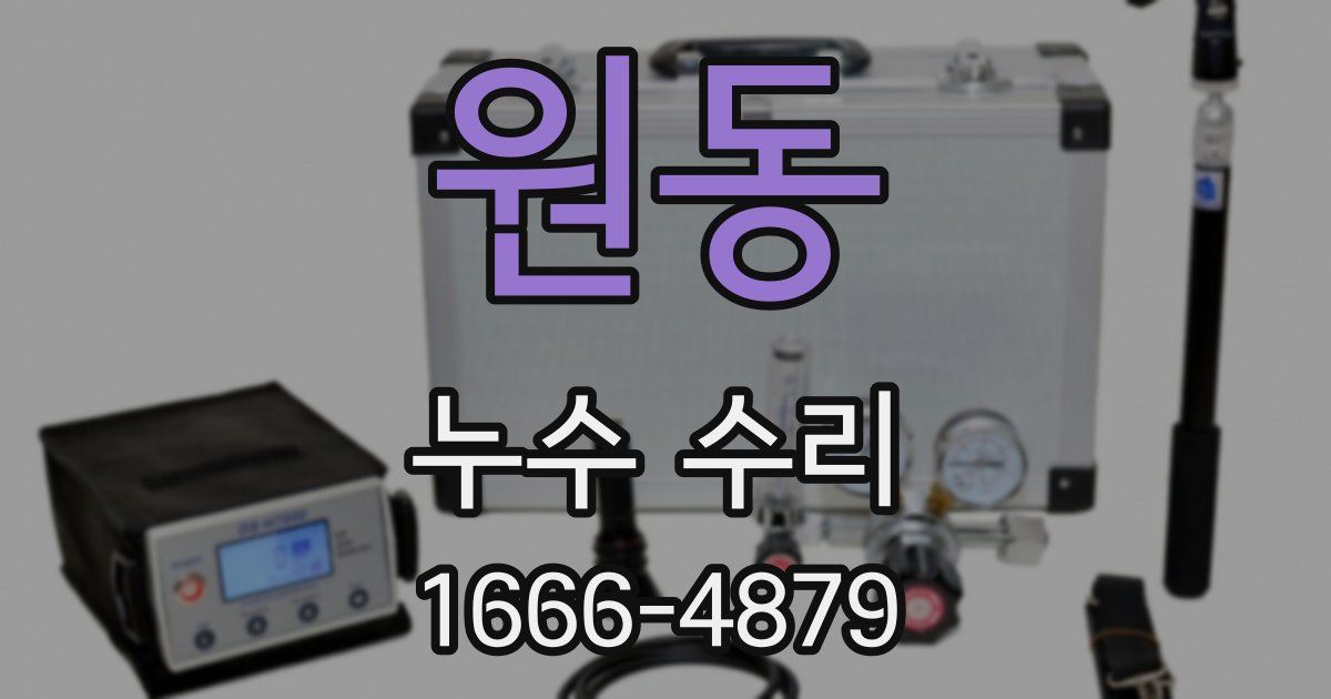 원동 누수 수리