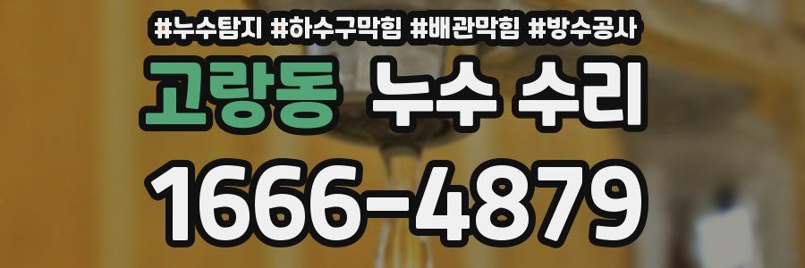 고랑동 누수 수리