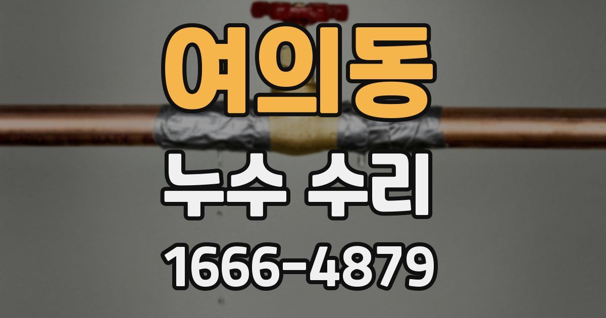 여의동 누수 수리