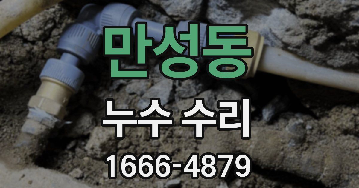 만성동 누수 수리