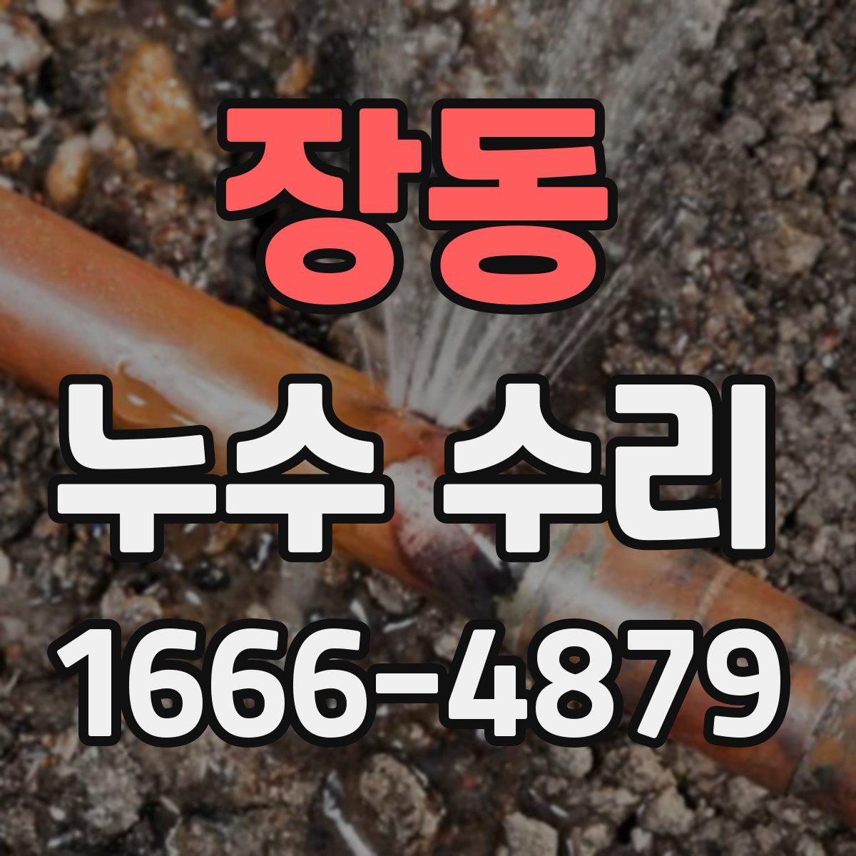 장동 누수 수리