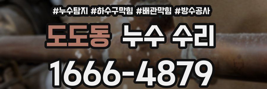 도도동 누수 수리