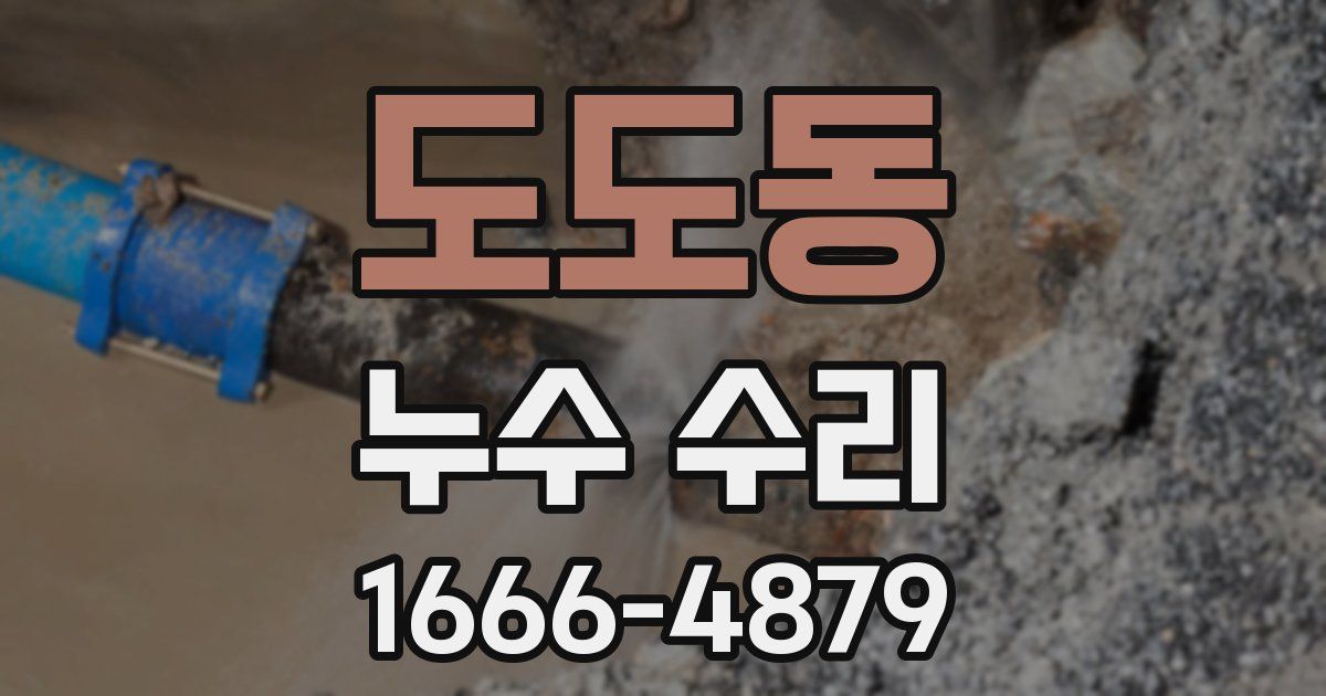 도도동 누수 수리