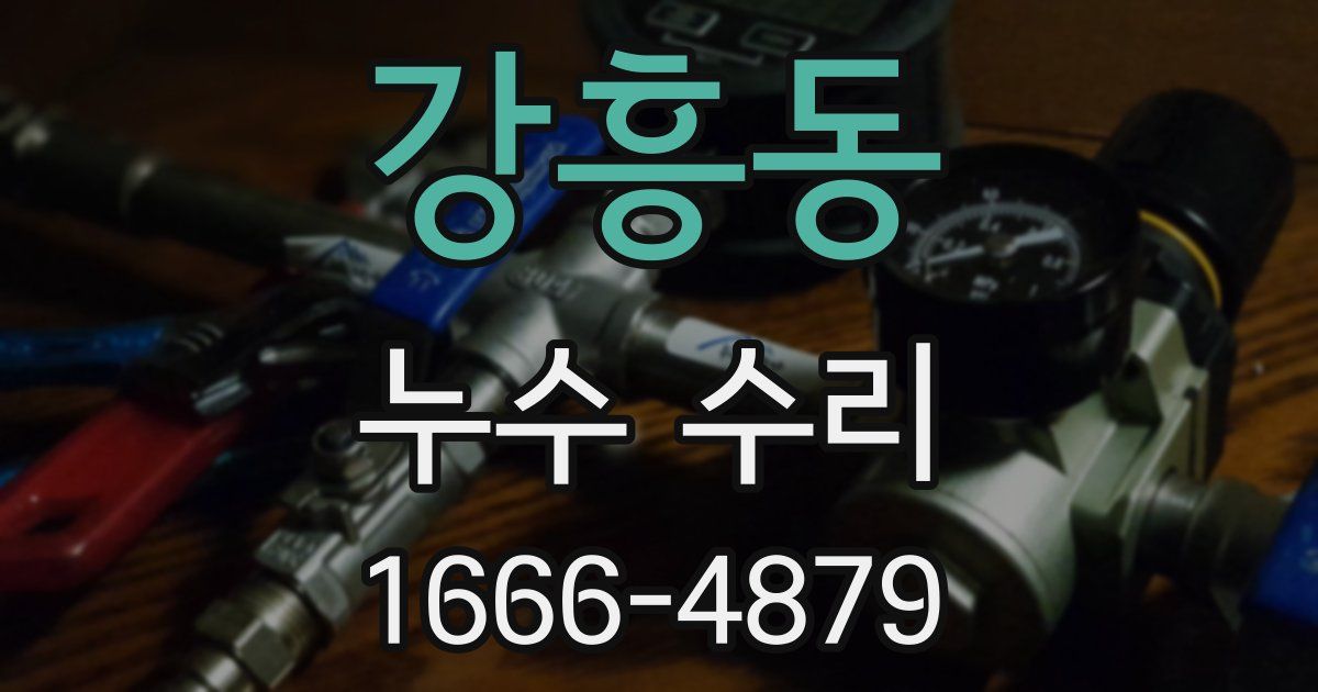 강흥동 누수 수리