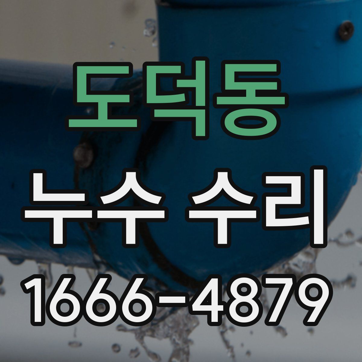 도덕동 누수 수리