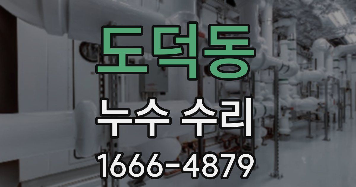 도덕동 누수 수리