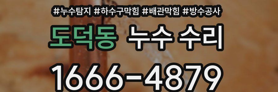도덕동 누수 수리