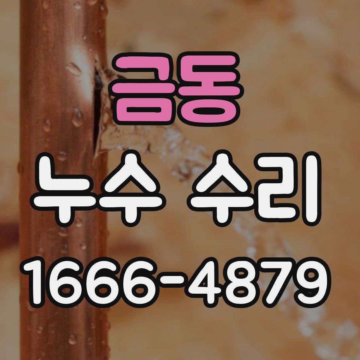 금동 누수 수리