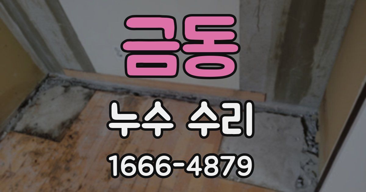 금동 누수 수리