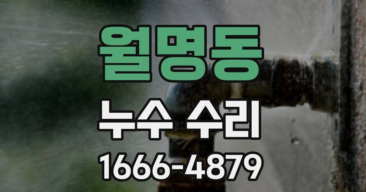 월명동 누수 수리