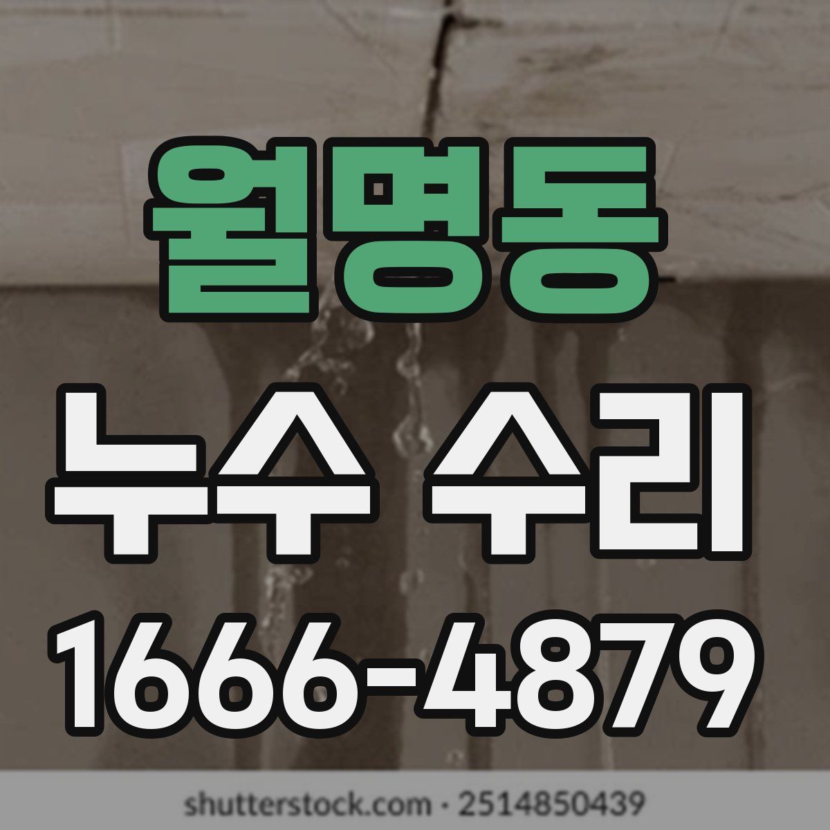월명동 누수 수리