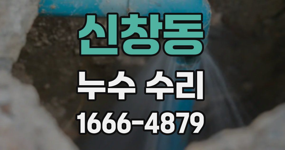 신창동 누수 수리