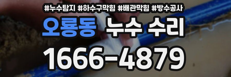 오룡동 누수 수리