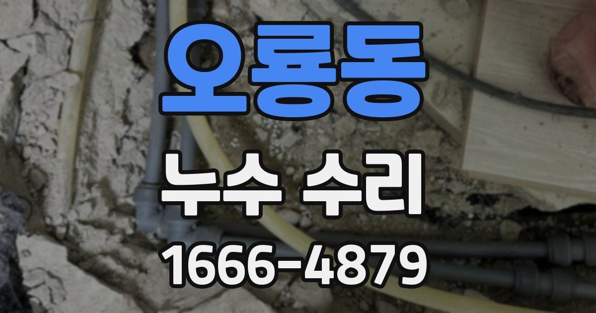 오룡동 누수 수리