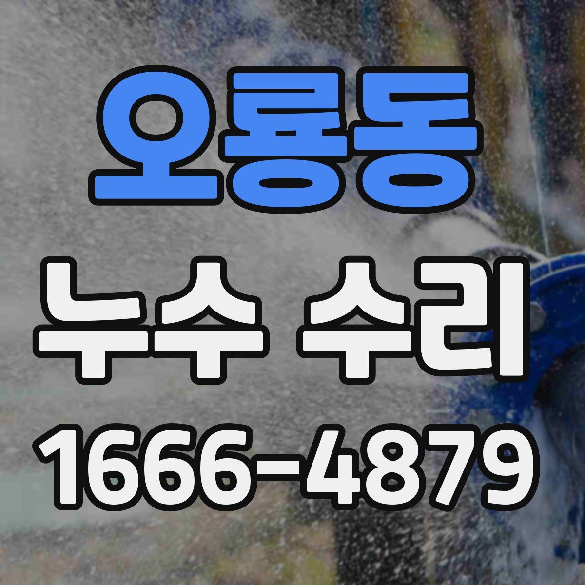 오룡동 누수 수리