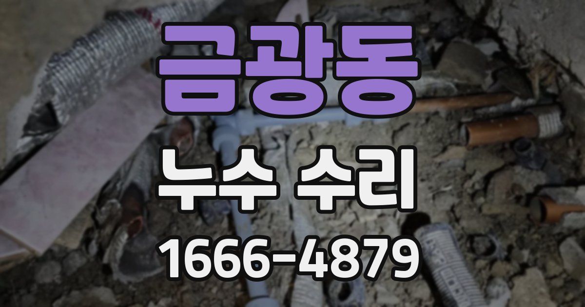 금광동 누수 수리