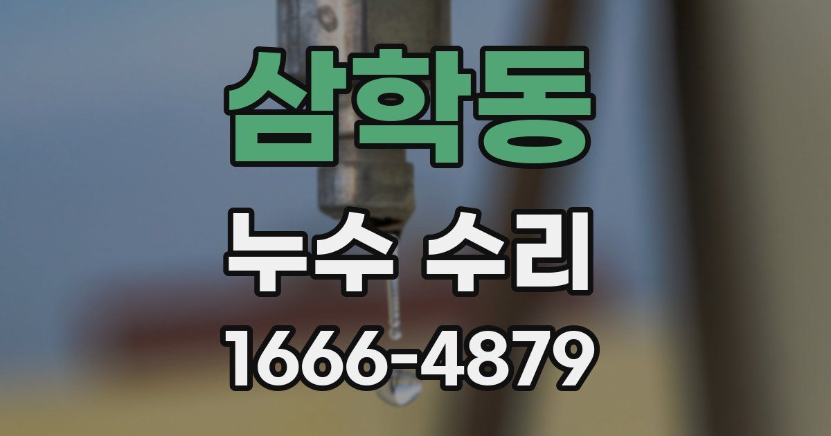 삼학동 누수 수리