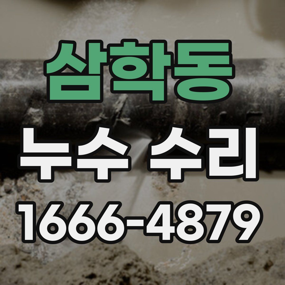 삼학동 누수 수리