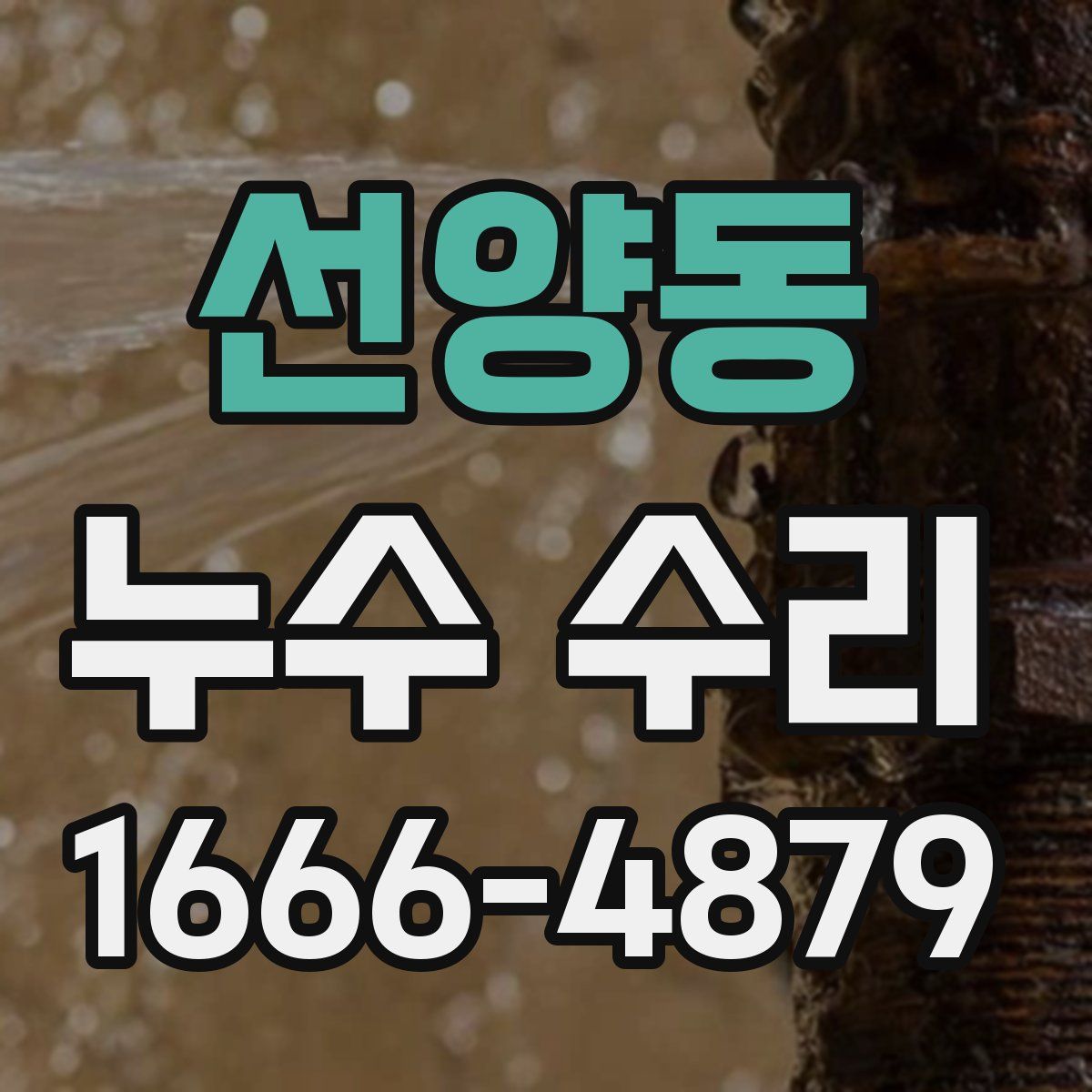 선양동 누수 수리