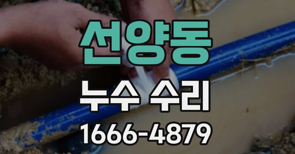 선양동 누수 수리