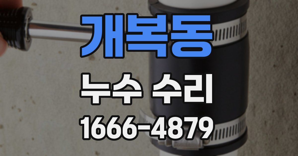 개복동 누수 수리
