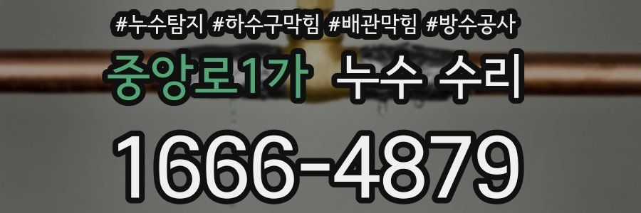 중앙로1가 누수 수리