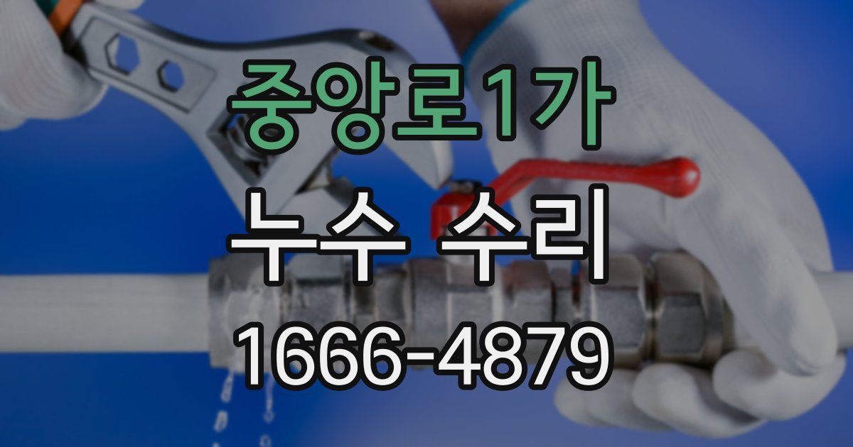 중앙로1가 누수 수리