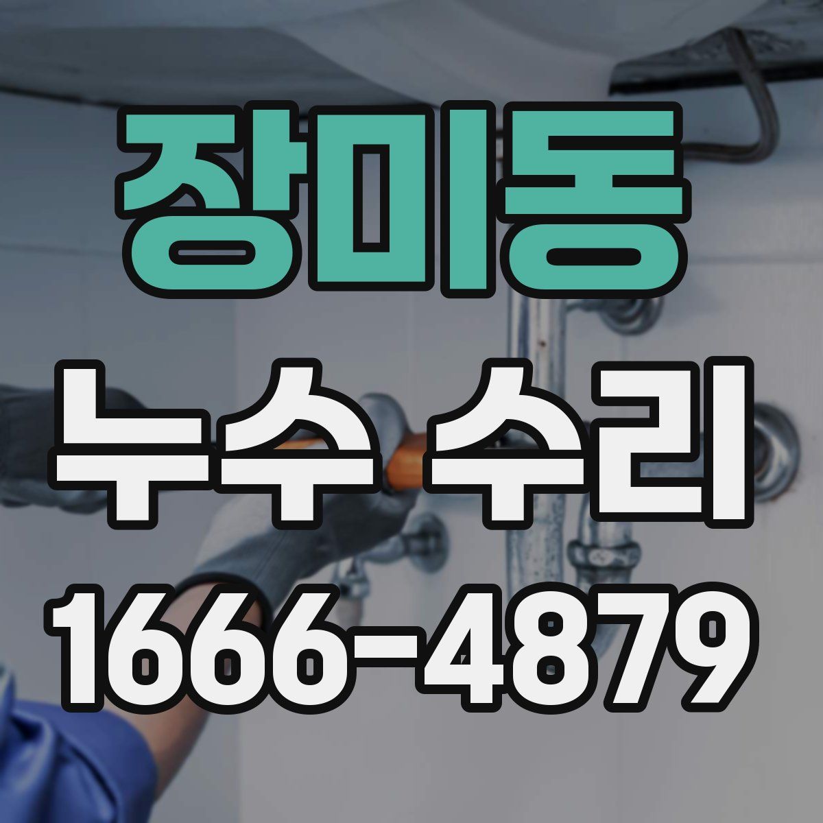 장미동 누수 수리