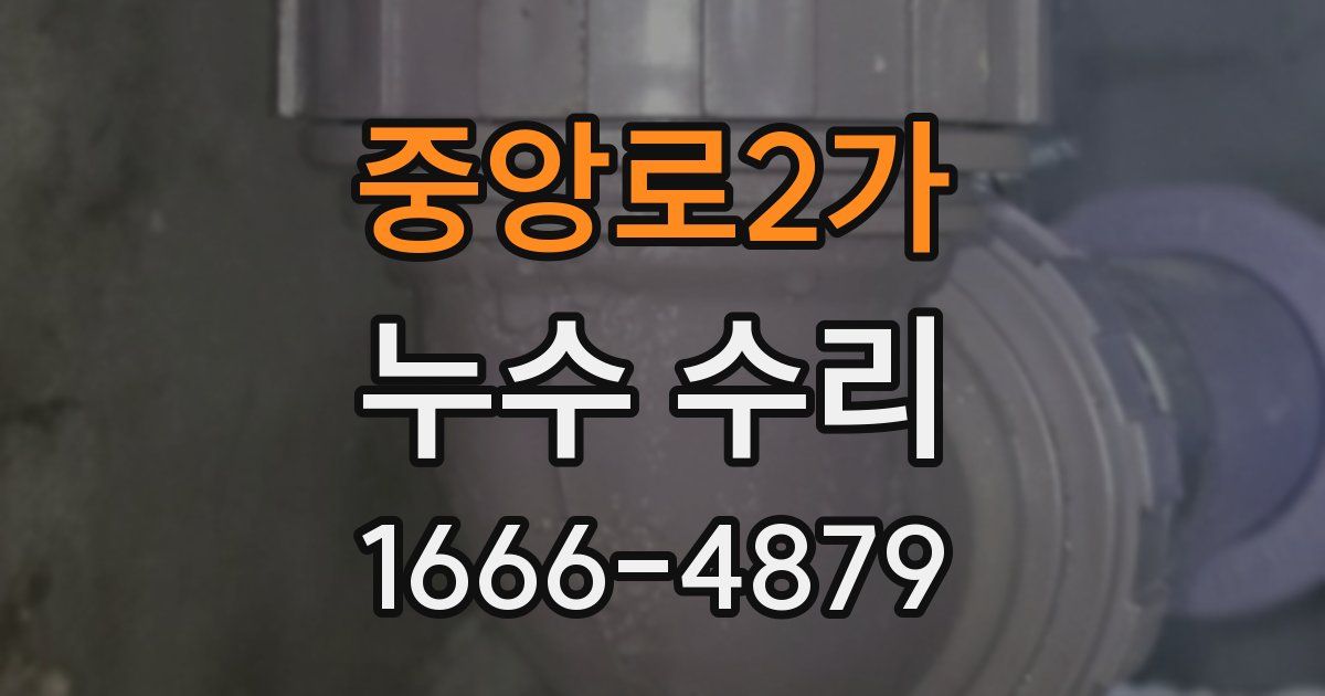 중앙로2가 누수 수리