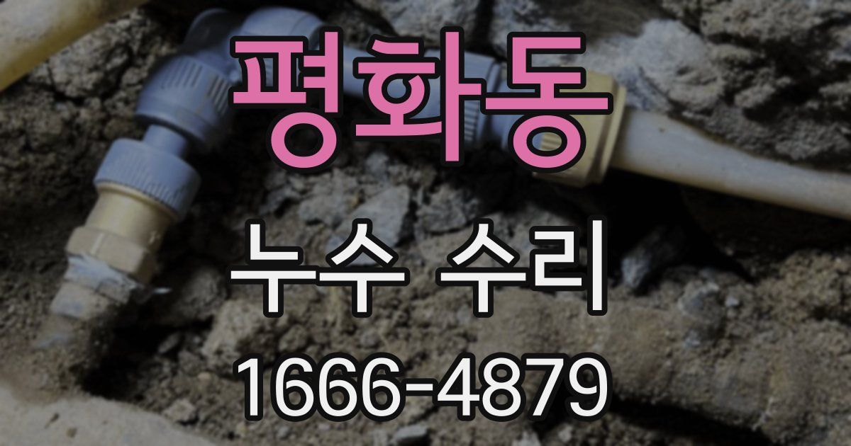 평화동 누수 수리