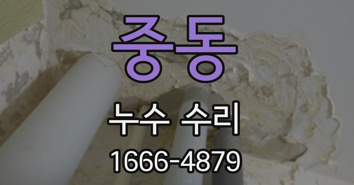 중동 누수 수리