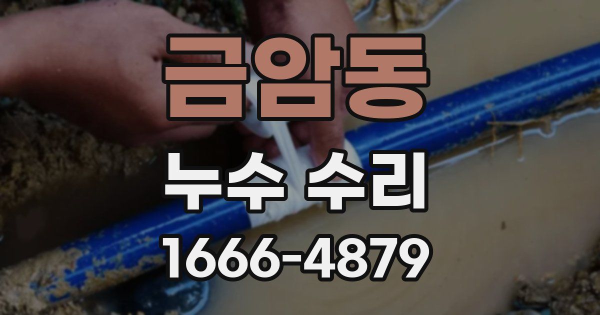 금암동 누수 수리