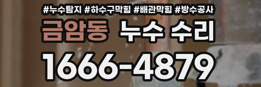 금암동 누수 수리