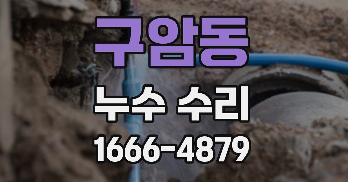 구암동 누수 수리