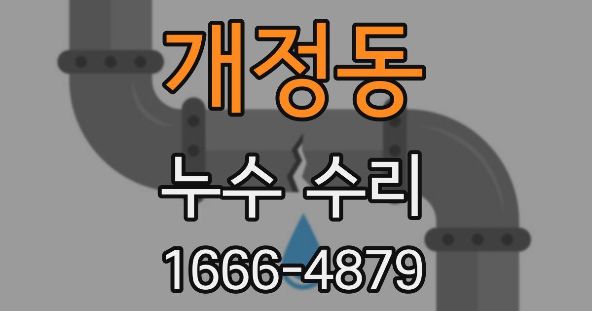 개정동 누수 수리