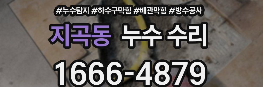 지곡동 누수 수리