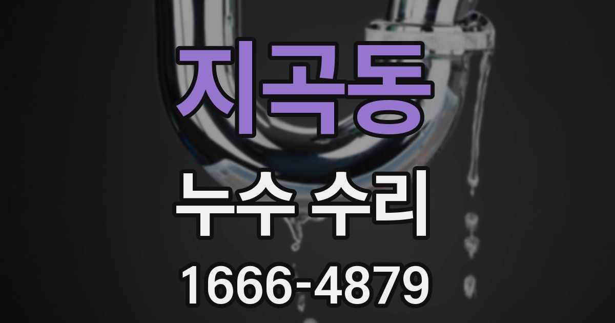 지곡동 누수 수리