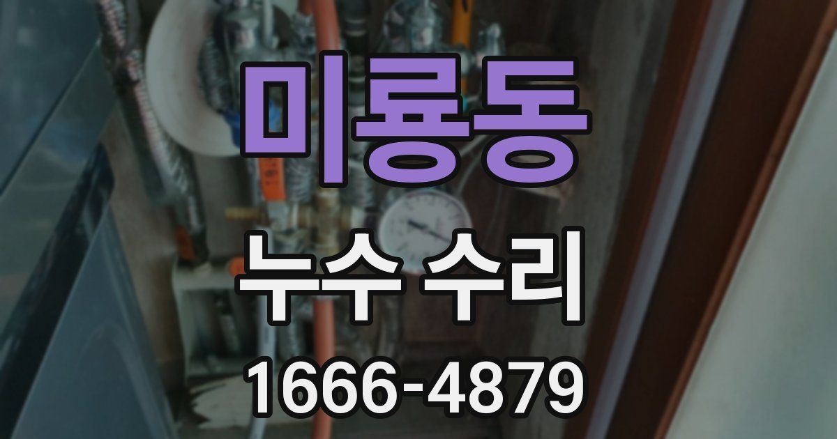 미룡동 누수 수리