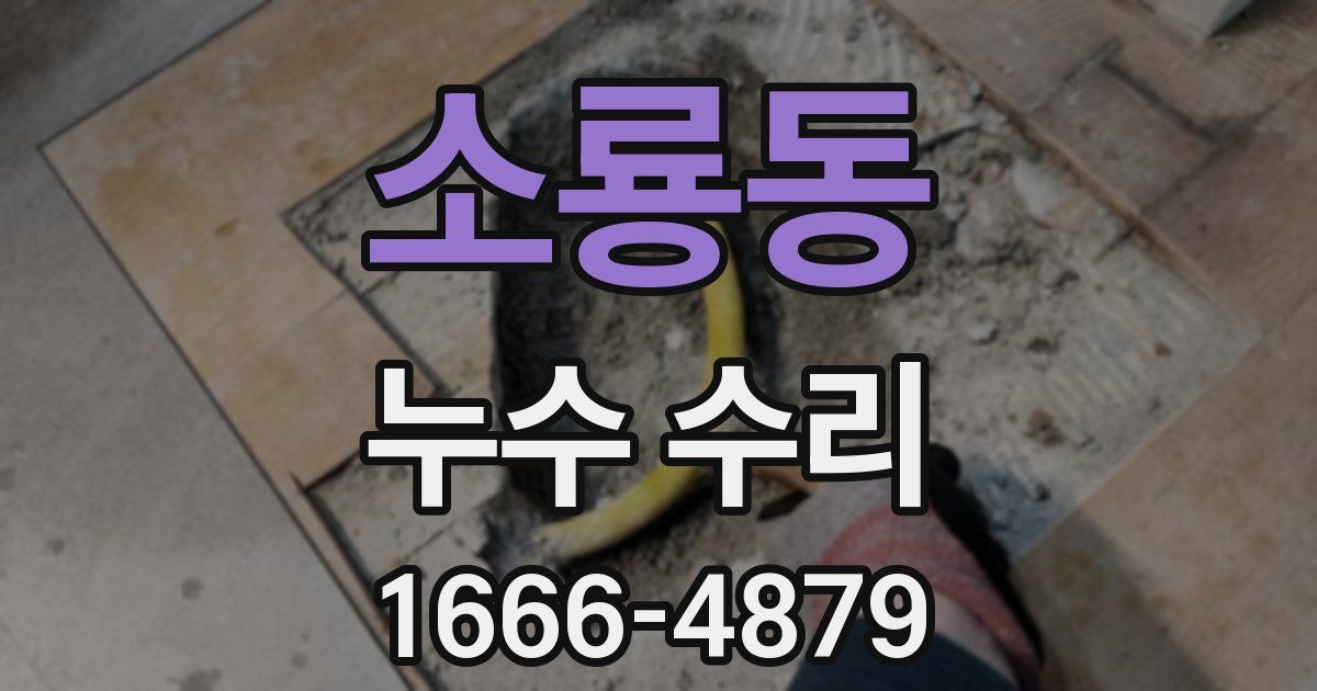 소룡동 누수 수리