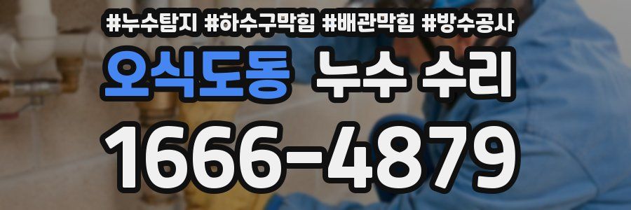 오식도동 누수 수리