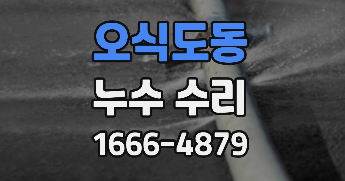 오식도동 누수 수리