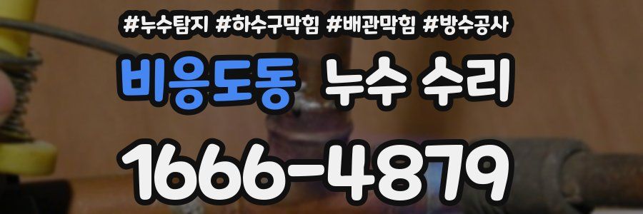비응도동 누수 수리