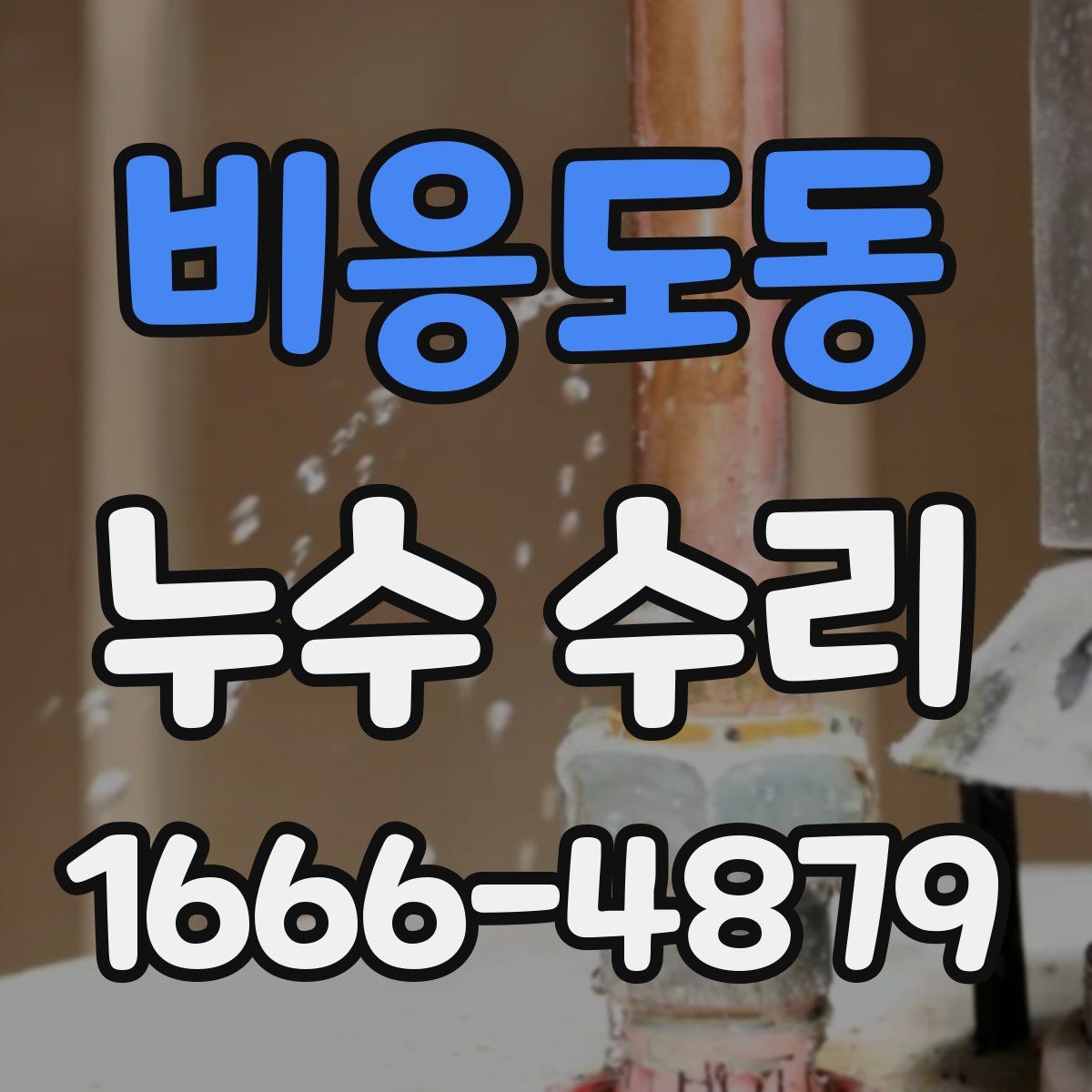 비응도동 누수 수리