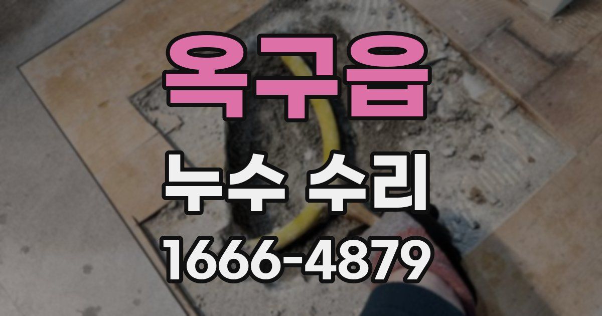 옥구읍 누수 수리