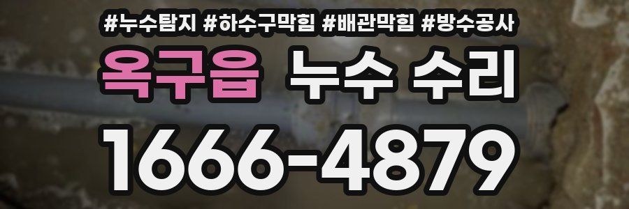 옥구읍 누수 수리