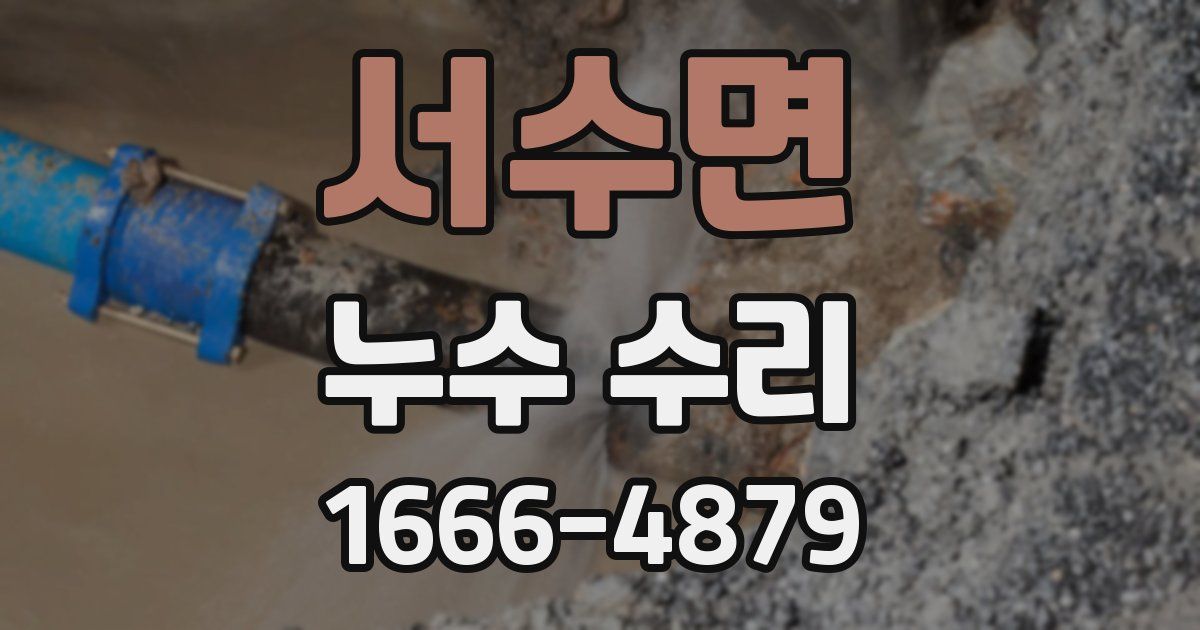 서수면 누수 수리