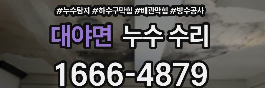 대야면 누수 수리