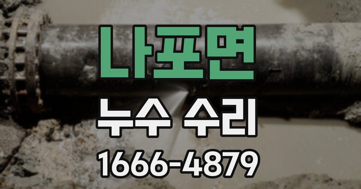 나포면 누수 수리
