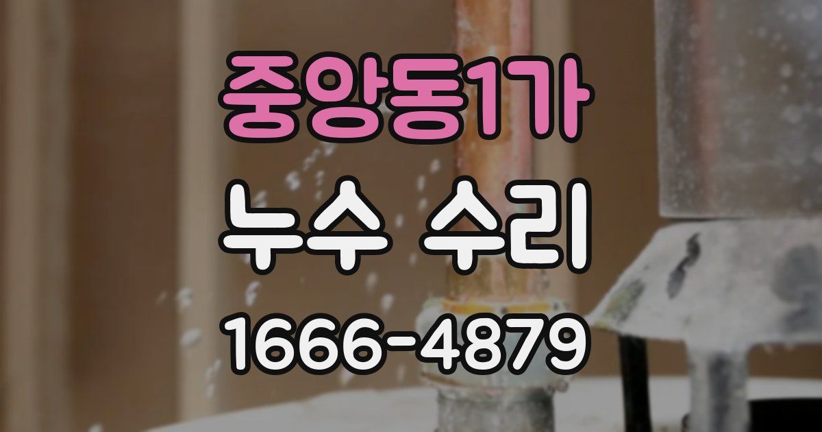 중앙동1가 누수 수리